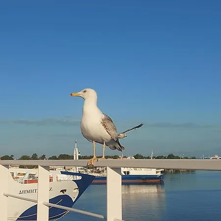 Sol Greco Apartamento Skala Rachoni (Thasos)